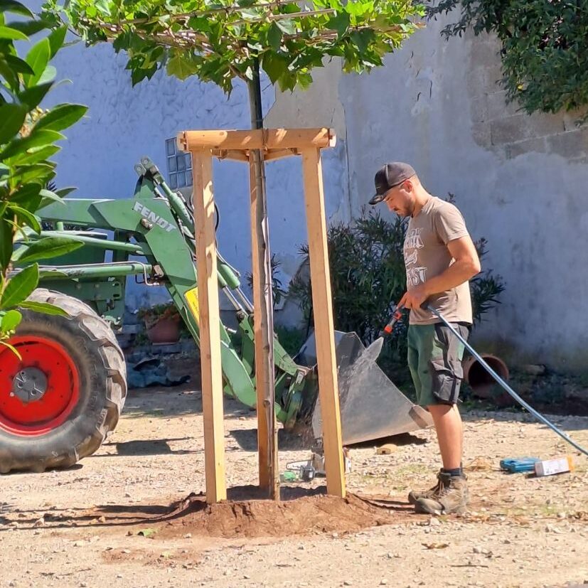 Pflegearbeiten in Trier - PS Gartenbau